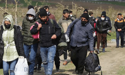 İçişleri Bakanı Ali Yerlikaya, Türk vatandaşı olan Suriyelilerin sayısını açıkladı