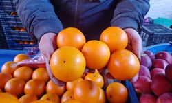 Eskişehir'de Hatay portakalına rağbet arttı
