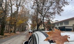 Eskişehir'de sonbahar manzaraları