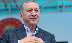 Cumhurbaşkanı Erdoğan'dan başıboş sokak hayvanları açıklaması
