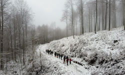Eskişehirli yürüyüş tutkunları karla kaplı ormanda 15 kilometre yürüdü