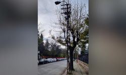 Eskişehir’deki paslanan sokak lambası tehlike saçıyor