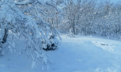 Eskişehir'in o ilçesi karla kaplandı
