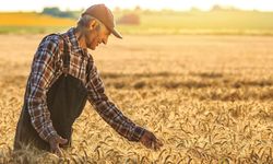 Bakan Yumaklı duyurdu: Çiftçilerin destek ödemeleri hesaplarına yatırılıyor