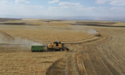 Tarıma Dayalı Ekonomik Yatırımlar Destekleme Programı’nın başvuru süresi uzatıldı