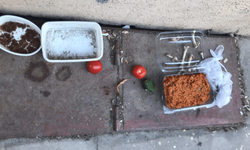Eskişehir'de sokak hayvanları için bırakılan yiyecek artıkları tepki topluyor