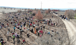 Eskişehir'de binlerce fidan toprağa kavuştu