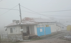 Eskişehir'de sis ve don etkili oldu