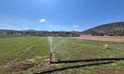 Eskişehir'de çiftçiler yağmur yağmadığı için tarlalarını sulamaya başladı