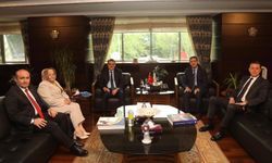 Gürhan Albayrak'tan Cumhurbaşkanlığı Strateji ve Bütçe Başkanı ziyaret