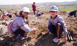 Eskişehir'de 3 bin fidan toprakla buluştu