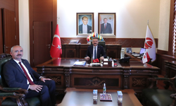 Mihalıççık Belediye Başkanı Çorum'dan Vali Aksoy'a ziyaret