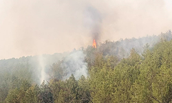 Eskişehir'de orman yangını: Alevler kontrol altına alındı