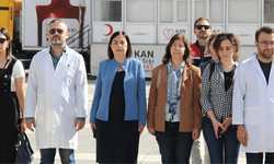 CHP'li Süllü: "Veteriner hekimlerin özlük hakları iyileştirilmeli"