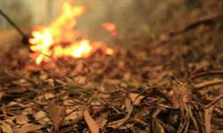Eskişehir'de felakete ramak kala: Söndürülmeyen sigara izmariti yangına sebep oldu