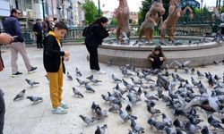 Nazilli'den gelen turistler Eskişehir'e hayran kaldı