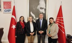 CHP'li Süllü Ankara Milletvekili Murat Emir'i ziyaret etti