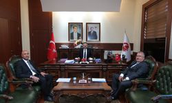 Polis Başmüfettişlerinden Vali Aksoy'a ziyaret