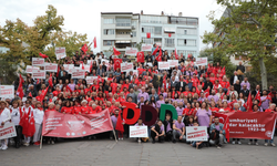 Odunpazarı 3D Gençlik Festivali Kortej Yürüyüşü ile başlıyor