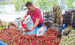 Renk renk yaz meyveleri Eskişehir'de pazar tezgahlarını süsledi