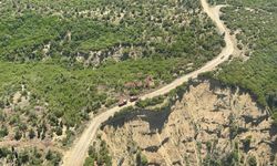 Tarım ve Orman Bakanı Yumaklı: Çanakkale-Eceabat yangını kontrol altına alınmıştır