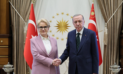 Cumhurbaşkanı Erdoğan ile Meral Akşener'in görüşmesi sona erdi