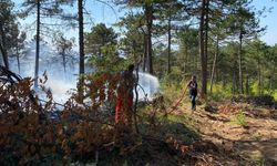 Bilecik'teki orman yangını saatler sonra söndürüldü
