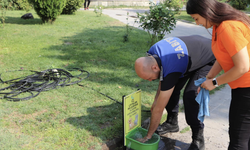 Başkan Konakcı'dan sokak hayvanları için su kabı uyarısı