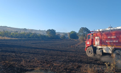Bilecik'te çıkan yangında 130 dönüm buğday ekili alan zarar gördü