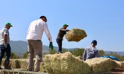 Büyükşehir’den hayvan üreticilerine balya desteği