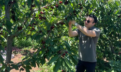 Kaymakam Aydoğan'dan çiftçilere ziyaret