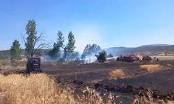 Komşuda korkutan yangın: Buğday ekili alan alevlere teslim oldu