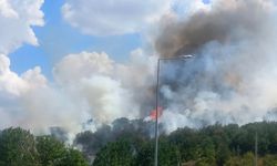 Bilecik'teki yangın bölgesinde soğutma çalışmaları sürüyor