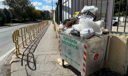 Basın Şehitleri Caddesi'nde biriken çöpler toplanmayı bekliyor