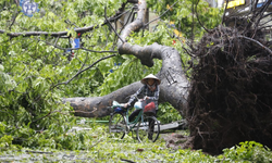 Vietnam: 233 kişi öldü