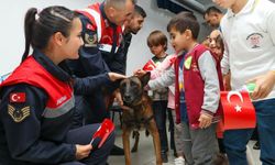 Eskişehir'de jandarma ekiplerinden "Hayvanları Koruma Günü" etkinliği