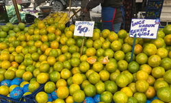 Eskişehir'de mandalina tezgaha çıktı, fiyatı cep yakıyor!