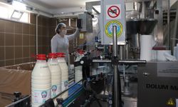 Eskişehir'de Halk Süt fiyatları ne kadar? İşte güncel liste...