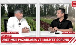 Net Tarım - Üretimde Pazarlama ve Maliyet / Süleyman Buluşan