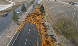 Tır dorsesinden dökülen 10 ton mandalina yolu trafiğe kapattı