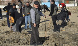 Eskişehir İl Sağlık Müdürlüğü'nden ağaç dikim etkinliği