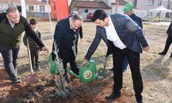 İnönü dikilen fidanlarla yeşillenecek