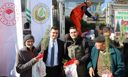 Beylikova Kaymakamı Şanal yeşil bir gelecek için adım attı