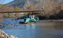 Sakarya Nehri yatağında temizlik çalışmaları başladı