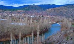 Ayşe Ünlüce, İğdir’i Örnek Köy yapacak