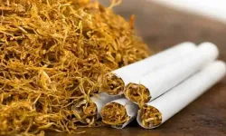 Philip Morris kıyılmış tütün fiyatına zam geldi