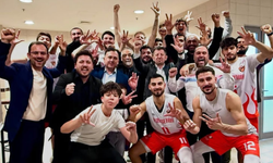 Birey Koleji final grubuna vize aldı