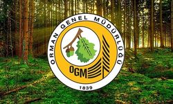OGM’den ‘OTAĞ kurdu, yerinden kıpırdamadı’ başlıklı habere yalanlama