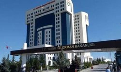 Tarım ve Orman Bakanlığı personel alımı başvurular ne zaman? Başvuru şartları açıklandı