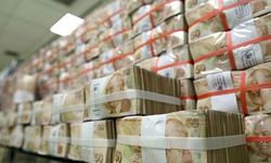 Bu bölgede kalırım diyenler yaşadı: Devlet tam 4 milyon lira destek verecek